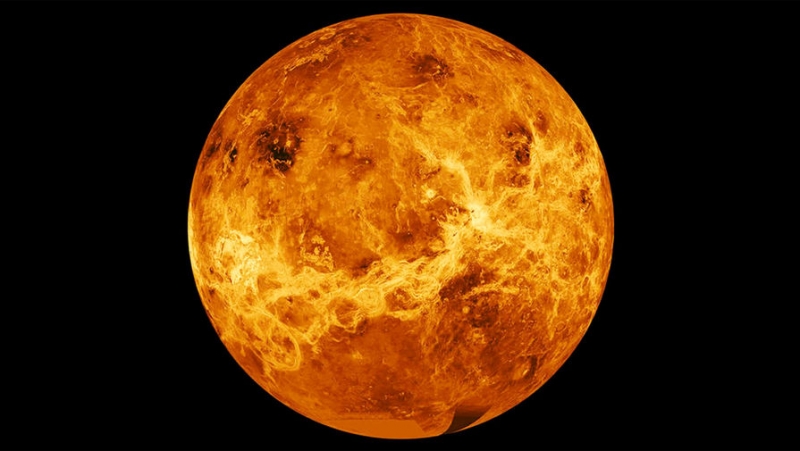 «Совершенно новый тип организмов»: возможна ли жизнь на Венере